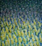 2009 02 21 blumenimwind05 90x100